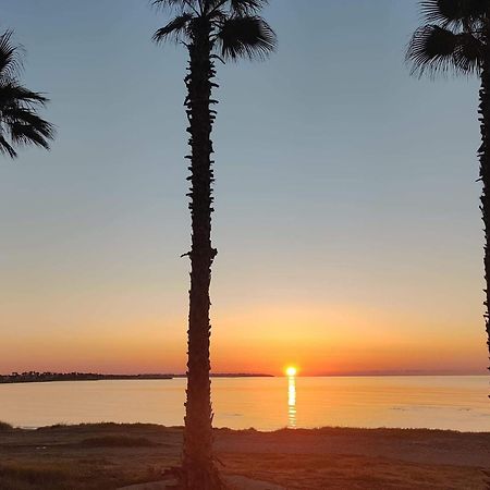 Palm Garden Paradise Bahçalar Dış mekan fotoğraf