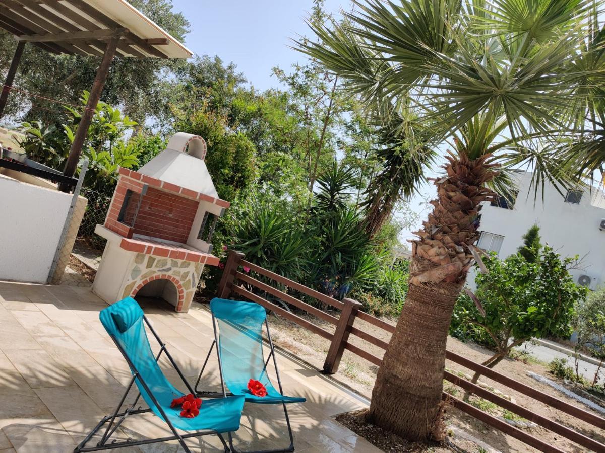 Palm Garden Paradise Bahçalar Dış mekan fotoğraf